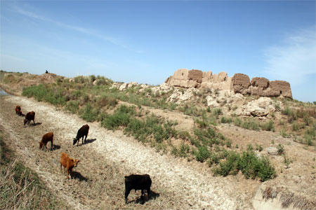 e0063212_224315.jpg