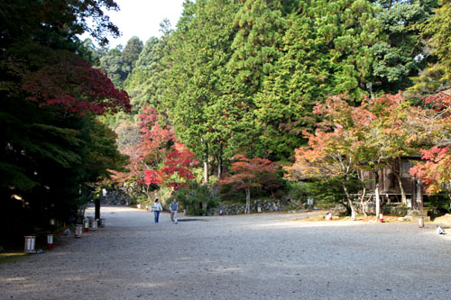 神護寺2_e0048413_2271573.jpg