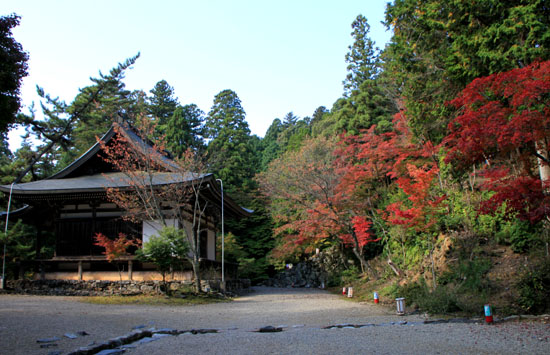 神護寺2_e0048413_2272745.jpg