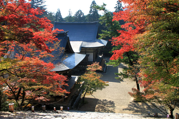 神護寺2_e0048413_2282834.jpg