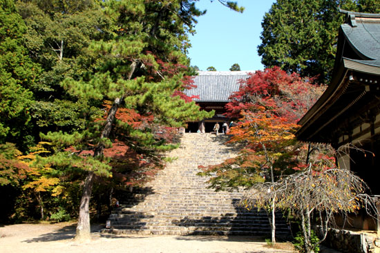 神護寺2_e0048413_228398.jpg