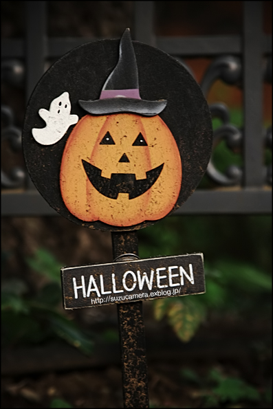 今日はHalloween_f0100215_0493757.jpg