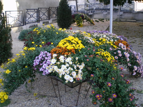 c0124619_1575850.jpg