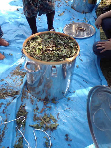 c0157323_23114.jpg