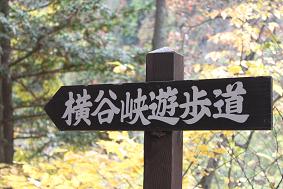 f0022024_23202811.jpg