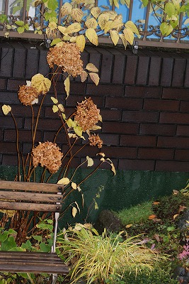 f0170524_1119430.jpg