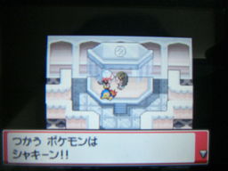 ポケットモンスターハートゴールドプレイ日記 アサギジム編 つきねこの日記 ポケットモンスターハートゴールドプレイ日記 アサギジム編 つきねこの日記