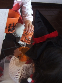 b0001326_6494075.jpg