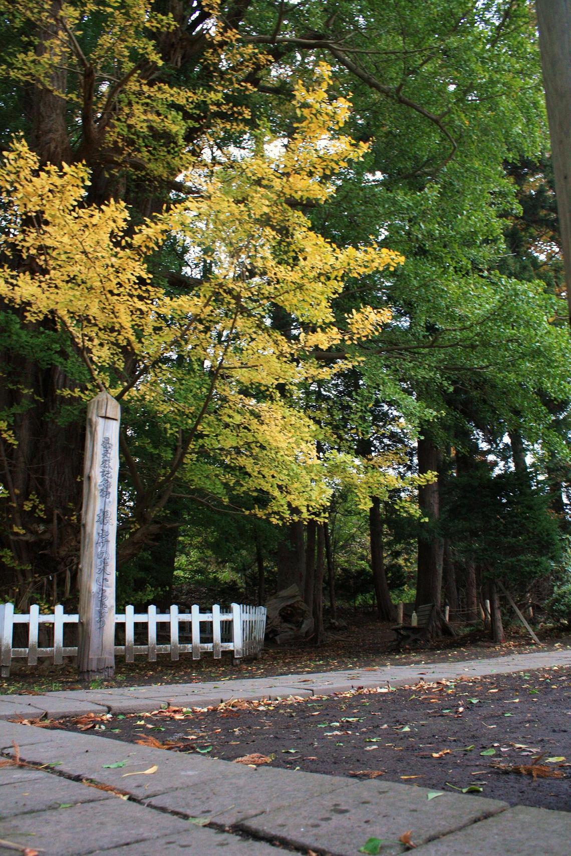a0123331_2038340.jpg