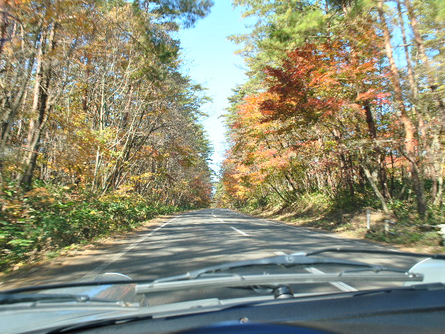 c0225536_2155823.jpg