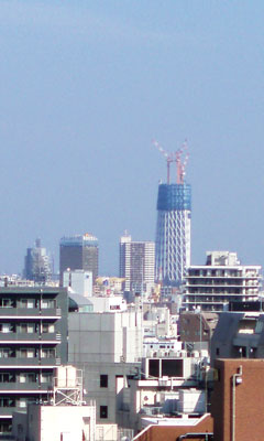＊肩の広いうしろ姿は_a0030038_14292546.jpg