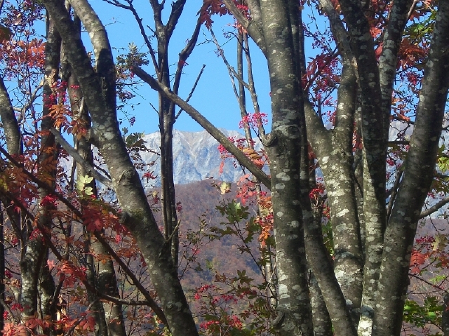 b0029438_138630.jpg