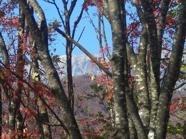 紅葉の大山_b0029438_138630.jpg