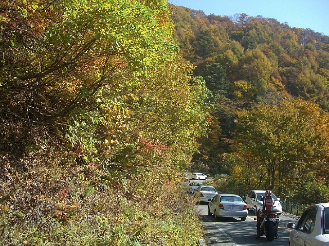 紅葉の大山_b0029438_153133.jpg