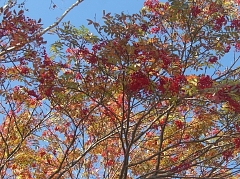 b0029438_1562583.jpg