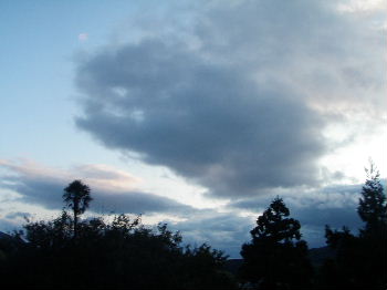 a0054240_17511366.jpg