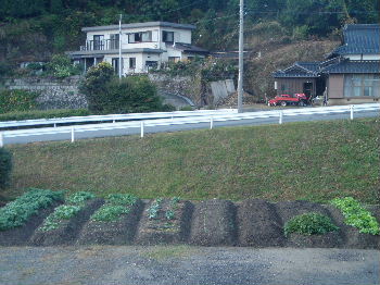 a0054240_20525479.jpg