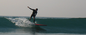 trim_c0089242_1502867.jpg