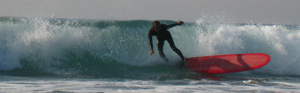 trim_c0089242_1504322.jpg