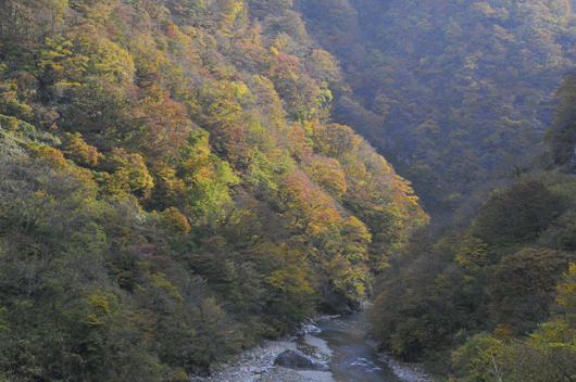 c0093046_2045321.gif