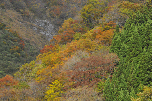 c0093046_2052093.gif