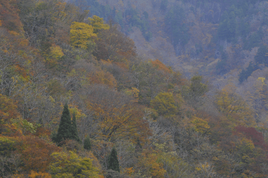 c0093046_205717.gif