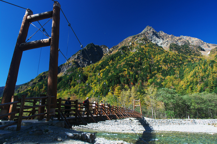 自然に囲まれて 上高地 明神橋まで 花景色 K W C Photoblog