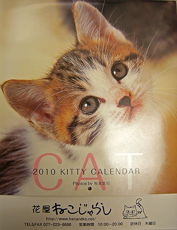 11月1日 今年もお店のカレンダー 2009_a0001354_21523186.jpg