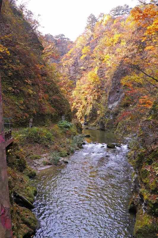 鳴子峡の紅葉1_f0044056_95403.jpg