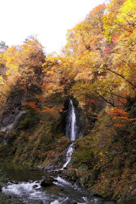 鳴子峡の紅葉1_f0044056_963754.jpg