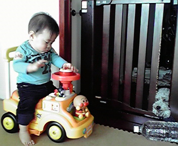 a0134562_011062.jpg
