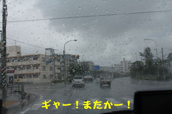 a0100564_05011.jpg