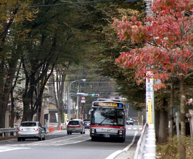 た81・た82 美しの森循環(犬蔵線)開設_c0130964_21424833.jpg