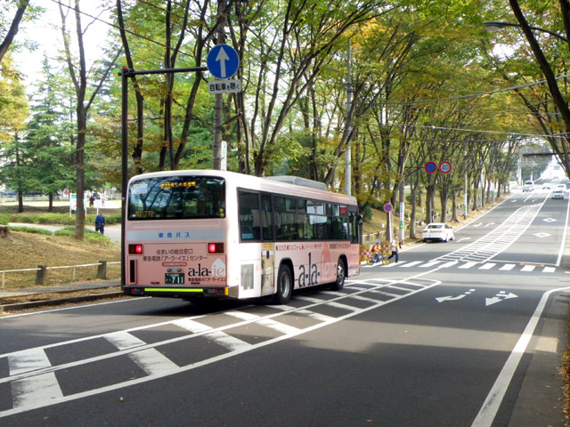 た81・た82 美しの森循環(犬蔵線)開設_c0130964_21432080.jpg