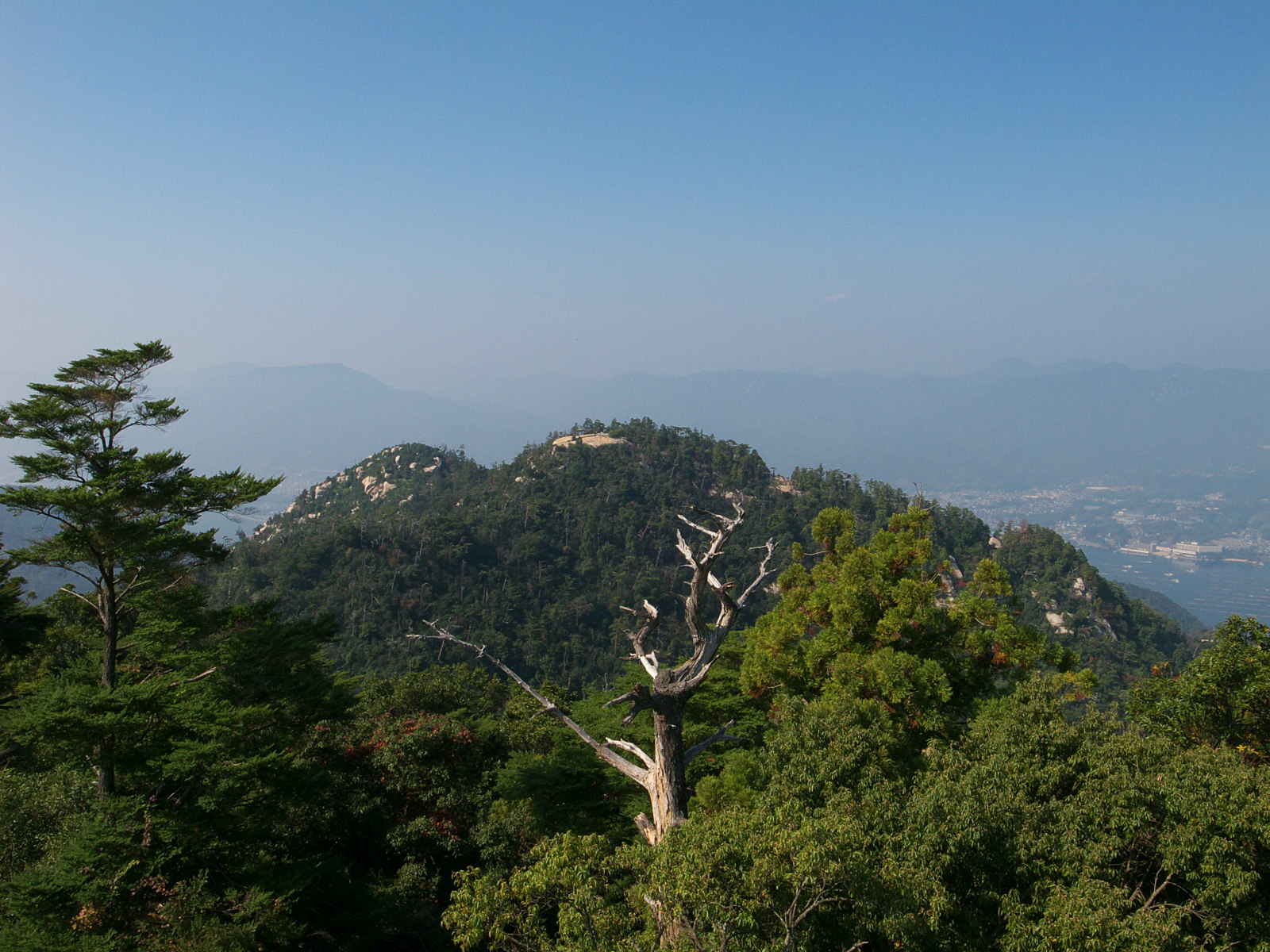 e0015567_1644919.jpg