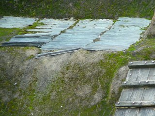d0104974_9551973.jpg