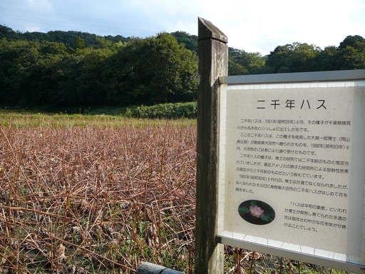 d0104974_9581951.jpg