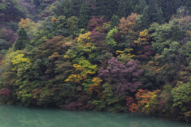 雨の五箇山_c0216179_1125489.jpg