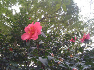 b0035080_23384114.jpg