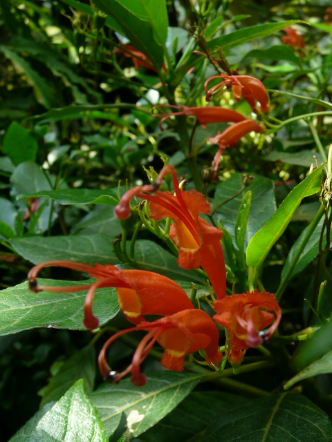 e0145782_18165231.jpg