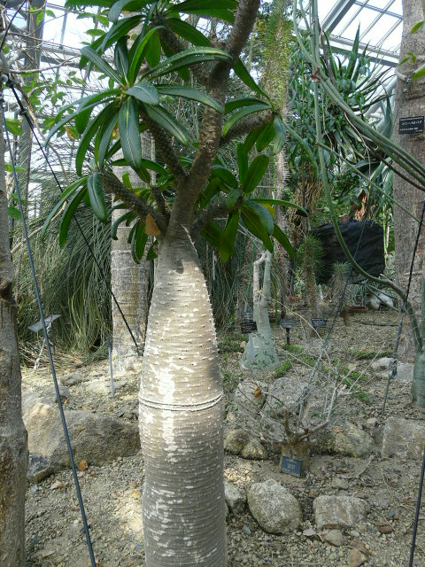 e0145782_18174141.jpg