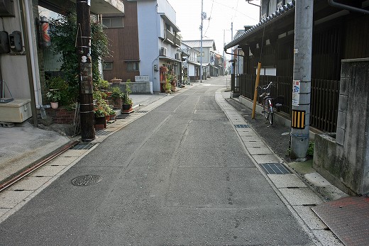 下津井のツメレンゲの花と干しだこ_e0190885_16254032.jpg