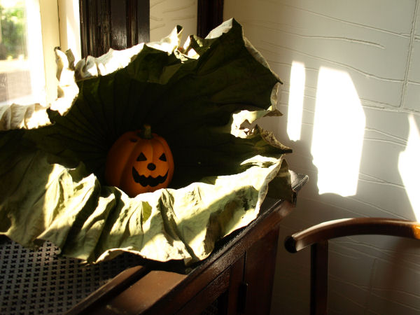 2009 山手西洋館ハロウィン　その１_f0081688_9293523.jpg