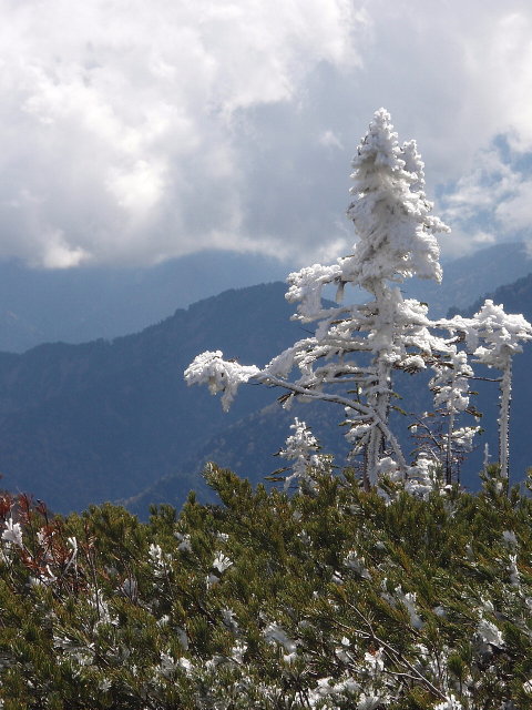 初雪の爺ケ岳・鹿島槍ヶ岳　その２_c0224989_19403043.jpg