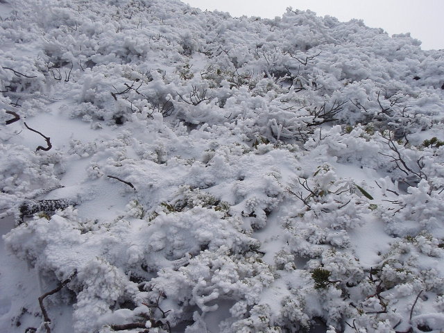 初雪の爺ケ岳・鹿島槍ヶ岳　その２_c0224989_19412151.jpg