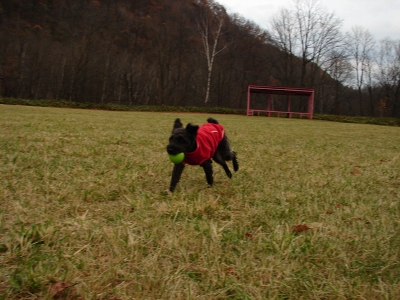 f0195891_1147440.jpg