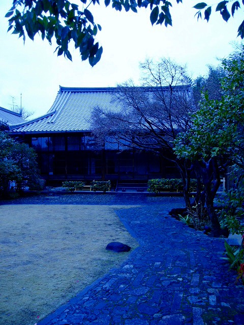 e0196993_86026.jpg