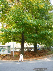 e0158895_18184724.jpg