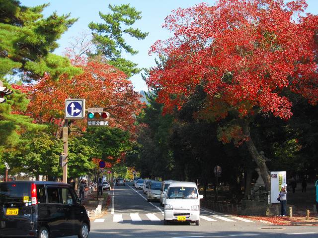 b0028598_17504256.jpg