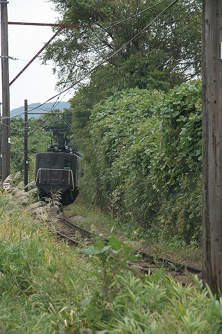 b0125902_138974.jpg